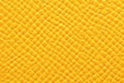 ジョーヌドール/JAUNE D OR(9V)