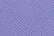 ブルーブライトン/BLEU BRIGHTON(7E)