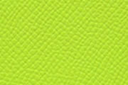キウイ/KIWI(6R)