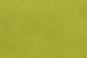 サルトルーズ/CHARTREUSE(6D)