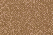 ベージュドゥワイマール/BEIGE DE WEIMER (D0)