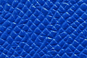 ブルーフランス/BLEU FRANCE(71)