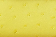 ジョーヌシトロン/JAUNE CITRON(9N)